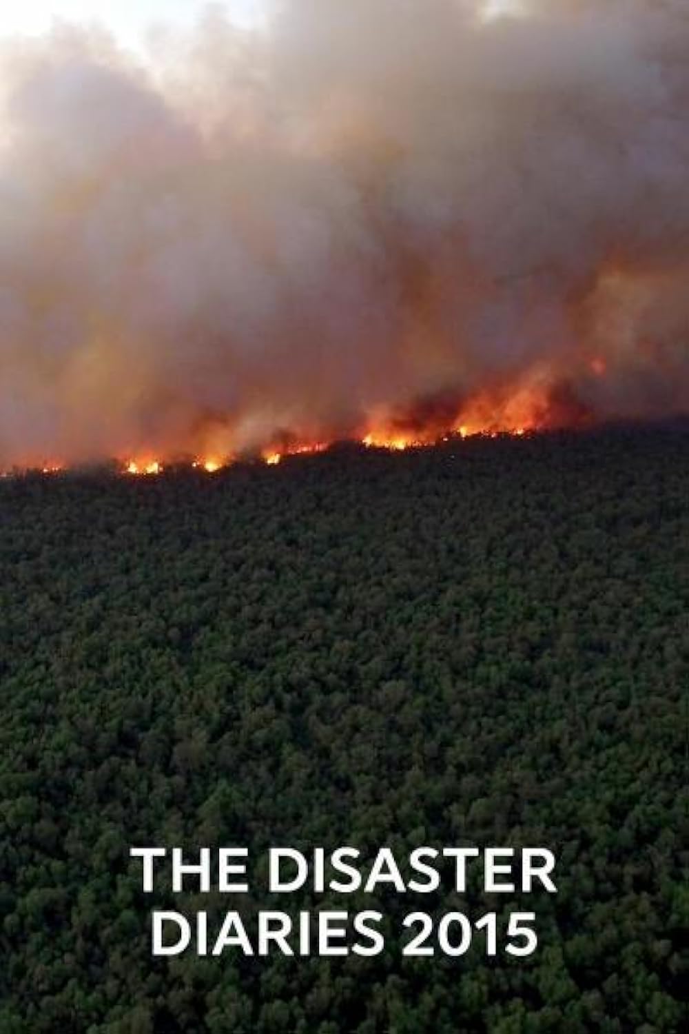 2015: The Disaster Diaries
