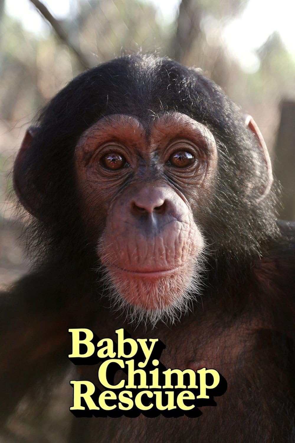 Baby Chimp Rescue