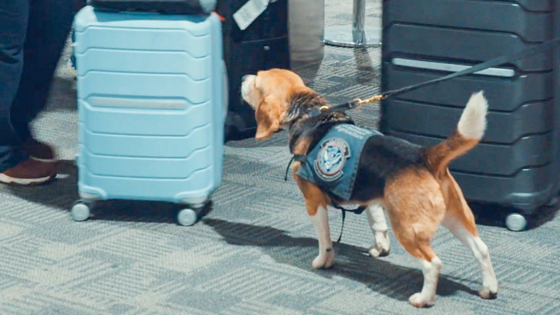 Contraband: Seized at the Airport S2E3 Scales of (In)justice