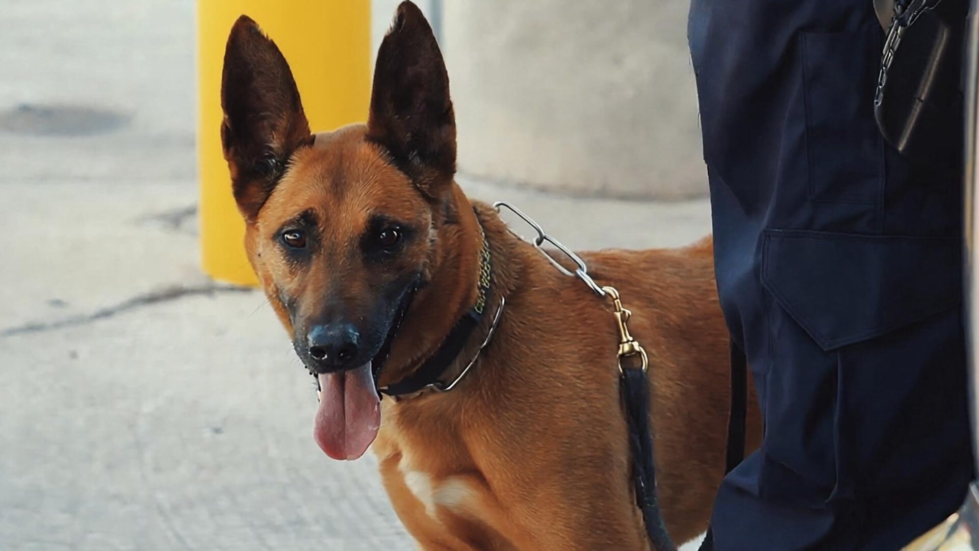Contraband: Seized at the Border S9E8 Just Doing My Duty