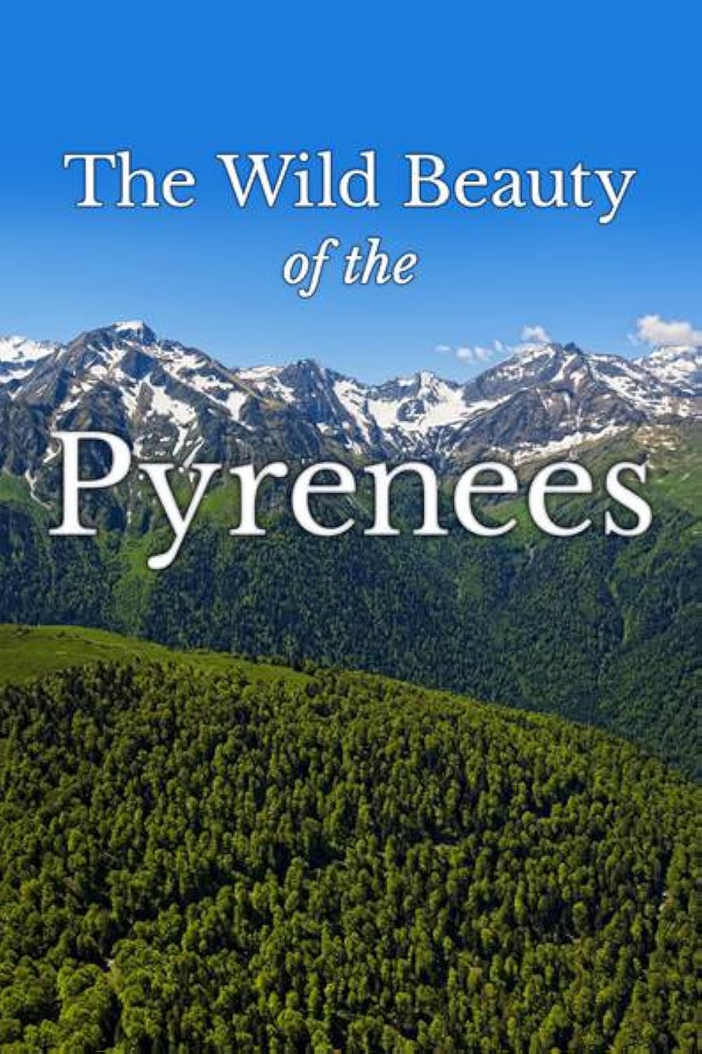 Die wilde Schönheit der Pyrenäen