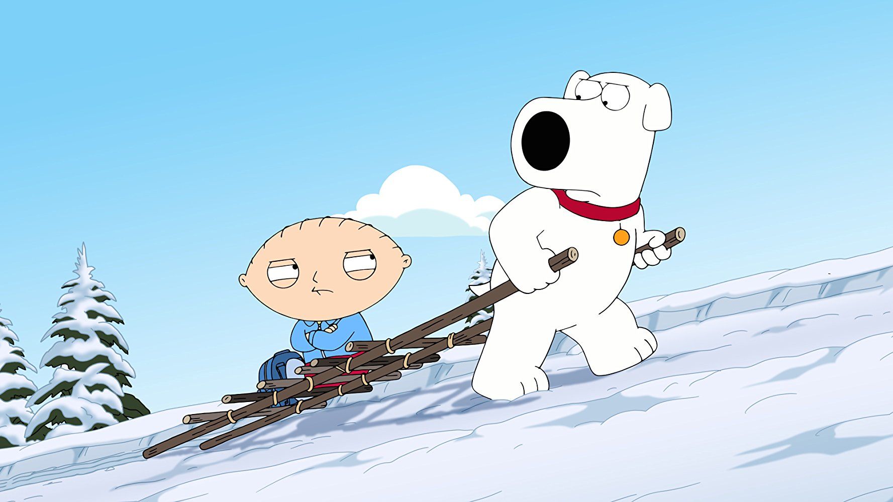 Family Guy S16E11 Dog Bites Bear