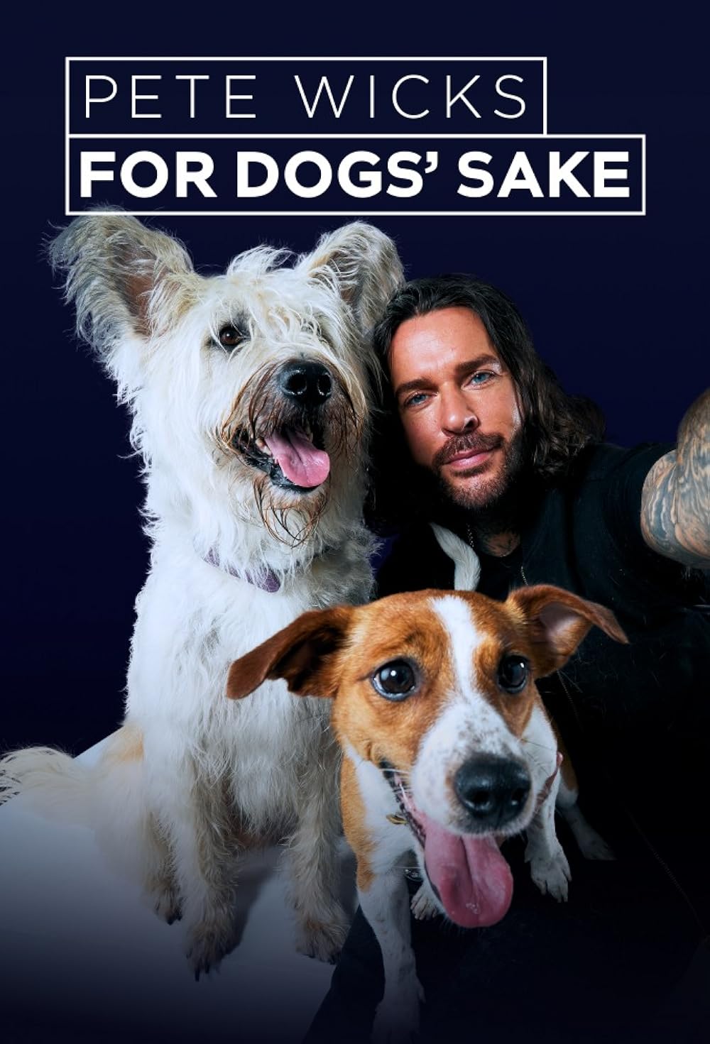 Pete Wicks: For Dogs' Sake