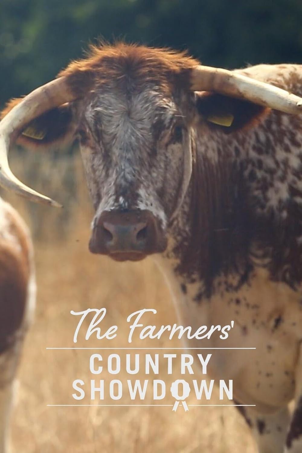 The Farmers' Country Showdown