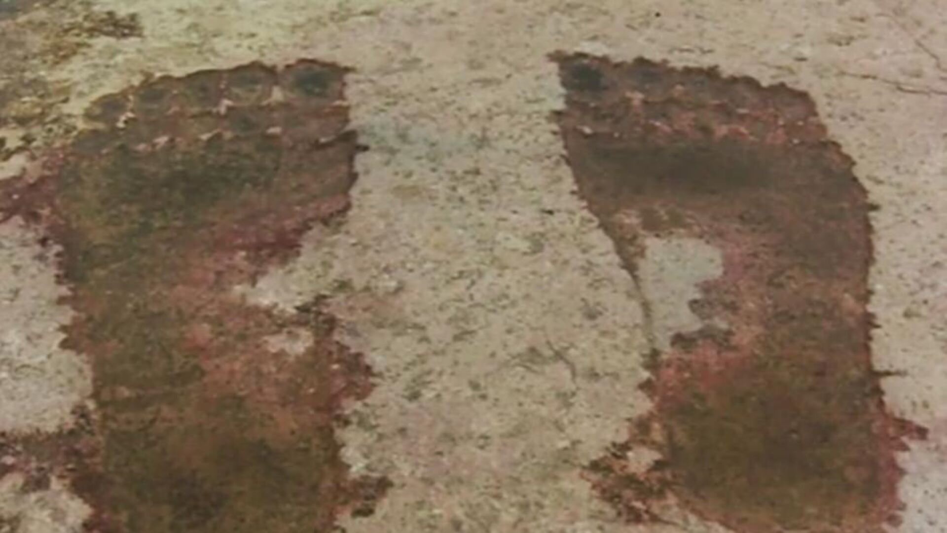 The Proof is Out There S5E20 Classic UFO Case, Ancient Titan Footprints, & The Beast at the Bottom of the Lake